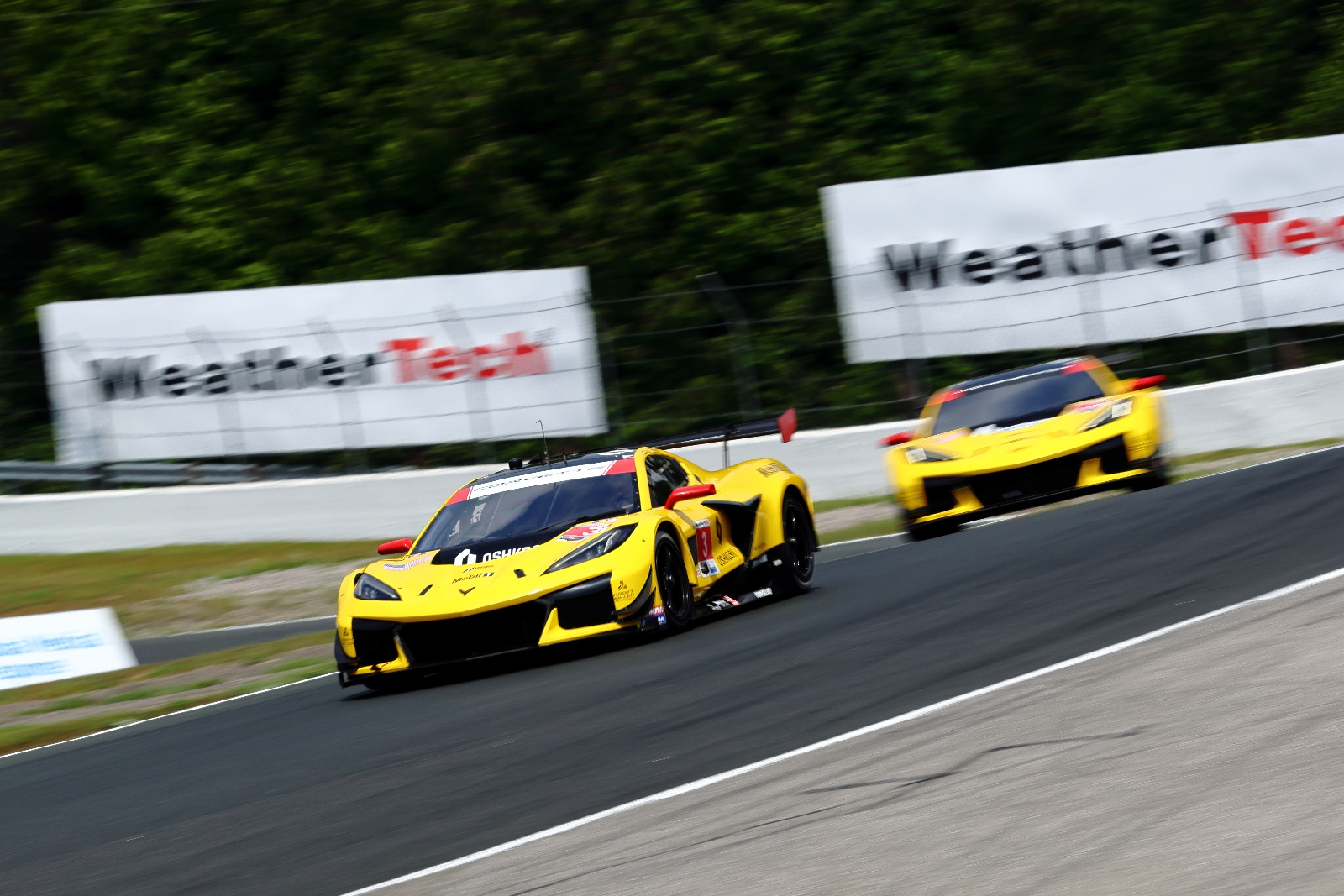 z06 GT3.R - Pratt Miller CTMP 2025